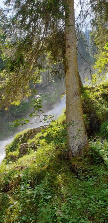 Kiental Wettermatteヴィラ エクステリア 写真
